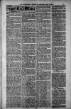 Birmingham Weekly Post Saturday 12 May 1900 Page 11