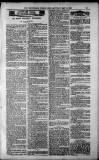 Birmingham Weekly Post Saturday 12 May 1900 Page 17