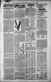 Birmingham Weekly Post Saturday 12 May 1900 Page 19