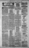 Birmingham Weekly Post Saturday 12 May 1900 Page 21