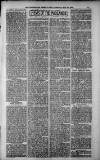 Birmingham Weekly Post Saturday 19 May 1900 Page 15