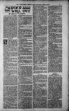 Birmingham Weekly Post Saturday 19 May 1900 Page 17