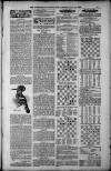 Birmingham Weekly Post Saturday 19 May 1900 Page 19