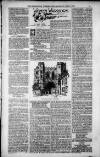 Birmingham Weekly Post Saturday 09 June 1900 Page 5