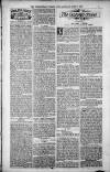 Birmingham Weekly Post Saturday 09 June 1900 Page 7