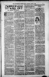 Birmingham Weekly Post Saturday 09 June 1900 Page 17