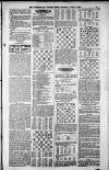 Birmingham Weekly Post Saturday 09 June 1900 Page 19