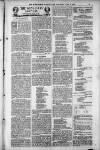 Birmingham Weekly Post Saturday 09 June 1900 Page 21