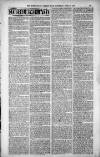 Birmingham Weekly Post Saturday 16 June 1900 Page 11