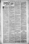 Birmingham Weekly Post Saturday 16 June 1900 Page 17