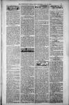 Birmingham Weekly Post Saturday 23 June 1900 Page 9