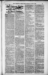 Birmingham Weekly Post Saturday 04 August 1900 Page 17