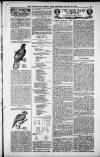 Birmingham Weekly Post Saturday 25 August 1900 Page 21