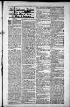 Birmingham Weekly Post Saturday 01 September 1900 Page 17