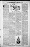 Birmingham Weekly Post Saturday 27 October 1900 Page 13