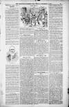 Birmingham Weekly Post Saturday 10 November 1900 Page 13