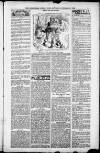 Birmingham Weekly Post Saturday 17 November 1900 Page 9