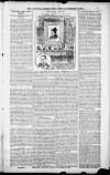 Birmingham Weekly Post Saturday 17 November 1900 Page 13