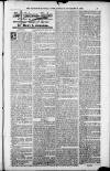 Birmingham Weekly Post Saturday 17 November 1900 Page 17