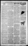 Birmingham Weekly Post Saturday 15 December 1900 Page 19