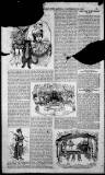 Birmingham Weekly Post Saturday 29 December 1900 Page 13