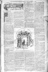 Birmingham Weekly Post Saturday 04 January 1902 Page 7