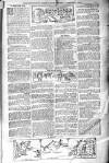 Birmingham Weekly Post Saturday 04 January 1902 Page 13