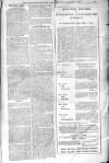 Birmingham Weekly Post Saturday 04 January 1902 Page 19