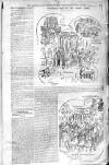 Birmingham Weekly Post Saturday 11 January 1902 Page 13