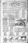 Birmingham Weekly Post Saturday 11 January 1902 Page 15