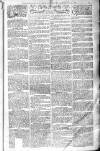 Birmingham Weekly Post Saturday 11 January 1902 Page 17