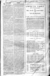 Birmingham Weekly Post Saturday 11 January 1902 Page 21