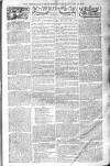 Birmingham Weekly Post Saturday 18 January 1902 Page 7