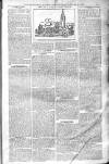 Birmingham Weekly Post Saturday 18 January 1902 Page 13