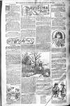 Birmingham Weekly Post Saturday 18 January 1902 Page 15