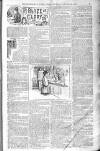 Birmingham Weekly Post Saturday 25 January 1902 Page 7