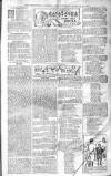 Birmingham Weekly Post Saturday 25 January 1902 Page 17