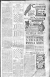 Birmingham Weekly Post Saturday 01 February 1902 Page 19