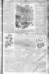 Birmingham Weekly Post Saturday 08 February 1902 Page 13