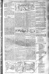 Birmingham Weekly Post Saturday 08 February 1902 Page 17