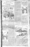 Birmingham Weekly Post Saturday 01 March 1902 Page 13