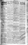 Birmingham Weekly Post Saturday 08 March 1902 Page 17