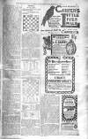 Birmingham Weekly Post Saturday 08 March 1902 Page 19