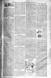Birmingham Weekly Post Saturday 15 March 1902 Page 9