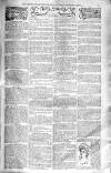 Birmingham Weekly Post Saturday 22 March 1902 Page 7
