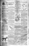 Birmingham Weekly Post Saturday 29 March 1902 Page 11