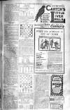 Birmingham Weekly Post Saturday 29 March 1902 Page 19