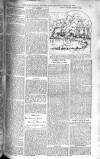 Birmingham Weekly Post Saturday 14 June 1902 Page 21