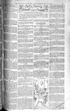 Birmingham Weekly Post Saturday 12 July 1902 Page 7