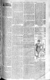 Birmingham Weekly Post Saturday 12 July 1902 Page 19